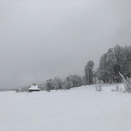 Cottage In Bakuriani Exteriér fotografie