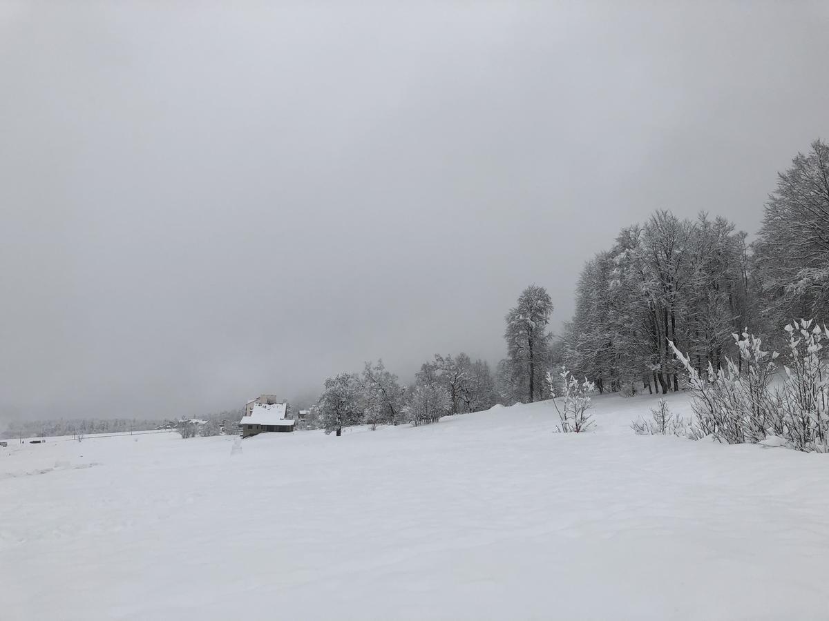 Cottage In Bakuriani Exteriér fotografie