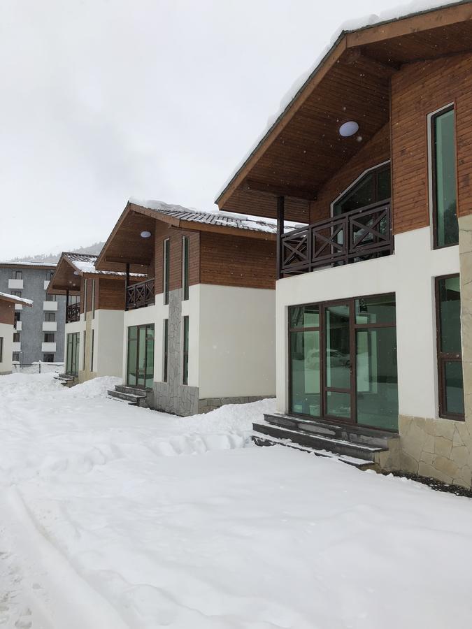 Cottage In Bakuriani Exteriér fotografie